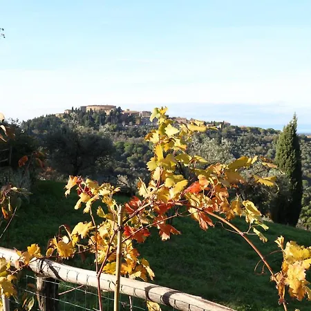 Bellavista Apt.limone Διαμέρισμα Castagneto Carducci